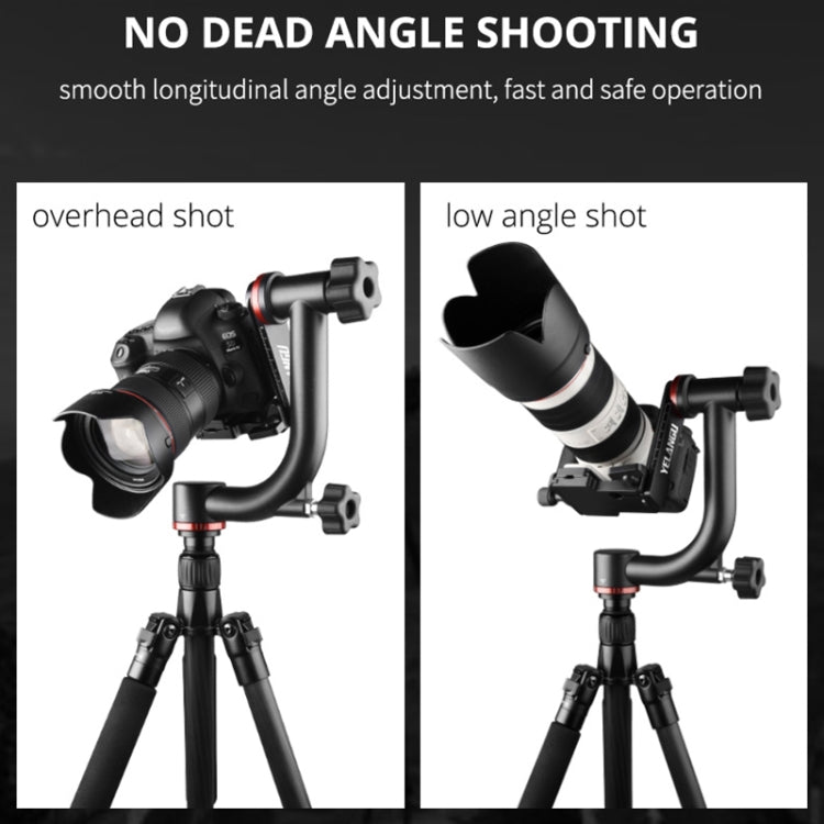 YELANGU  A201 360 Degree Horizontal Gimbal Tripod Head for DV and SLR Cameras