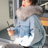 Velvet Thick Denim Jacket Female Winter Big Fur Collar Locomotive Lamb Coat Female Student Short Coat, Size: