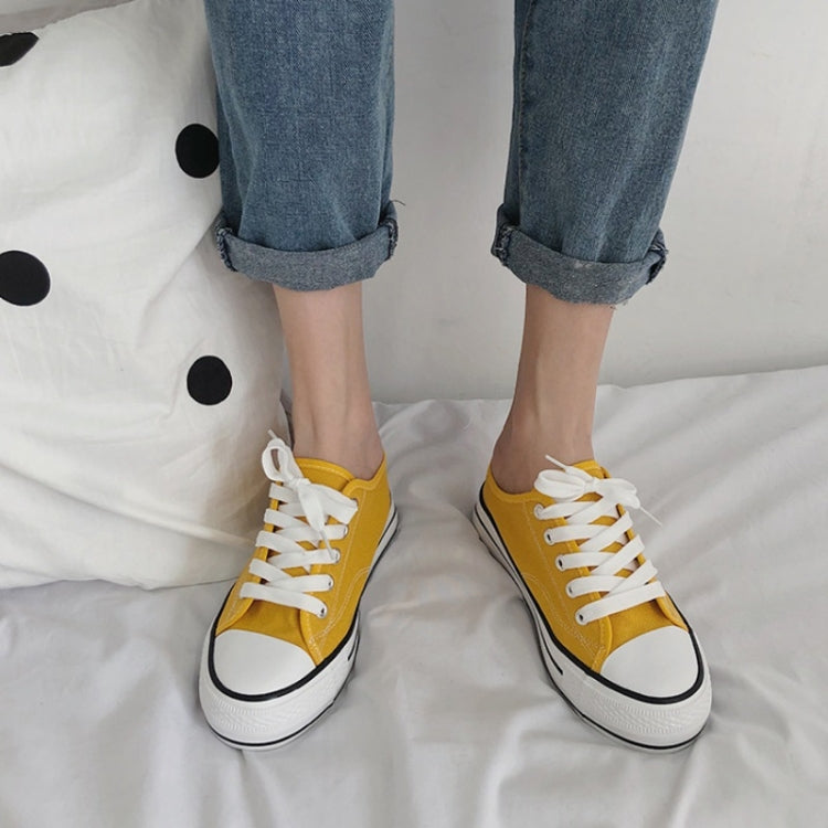 Women Heightened Canvas Shoes