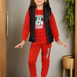 1 to 4 Years , 3 in 1 Girls Sportwear Tracksuit, Jacket, Trouser and Sweatshirt  , M303